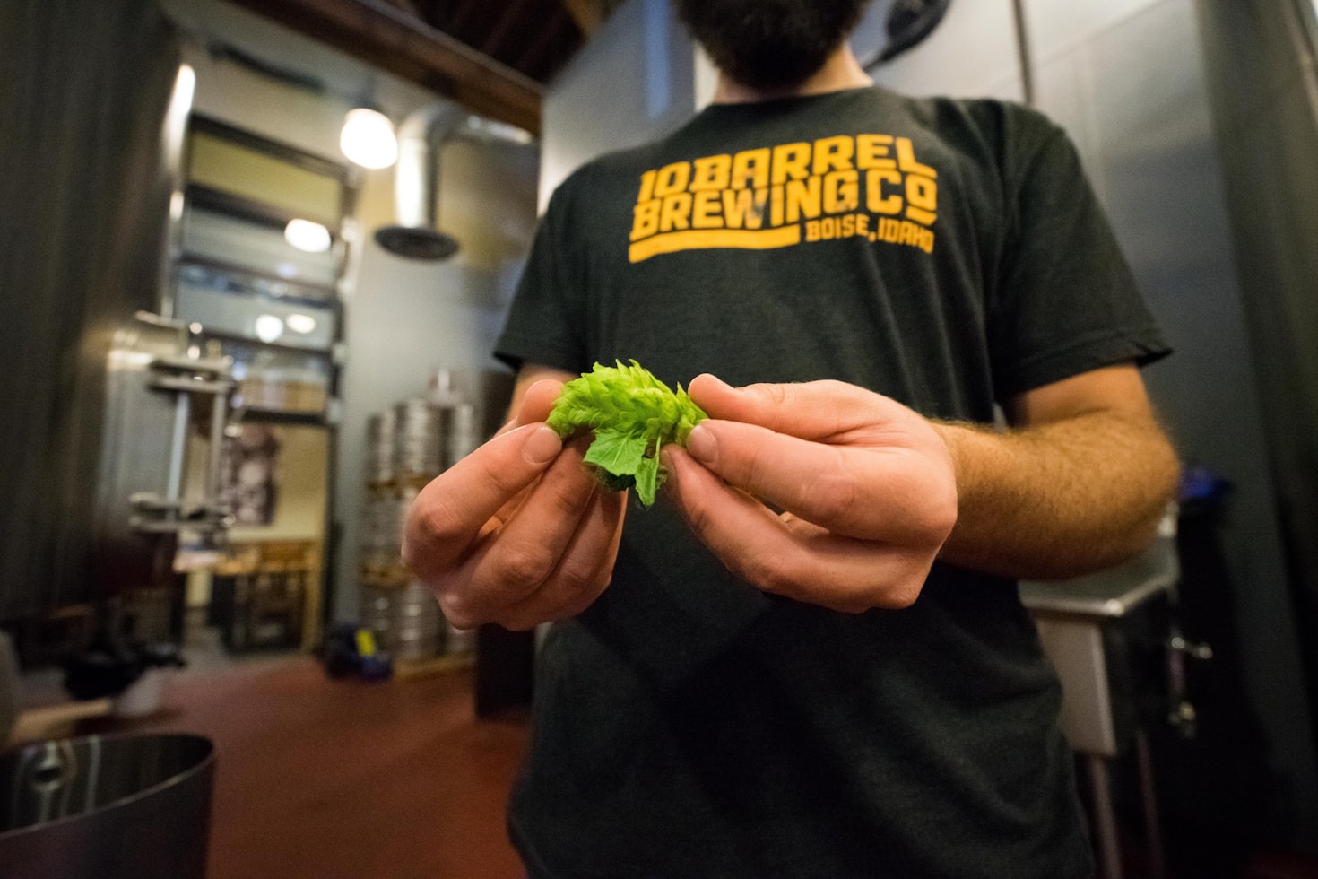 Debunking Famous Myths About Beer Culture